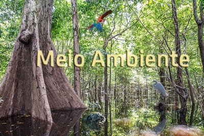 MPF ajuíza ação para garantir proteção de reserva extrativista entre Pernambuco e Paraíba
