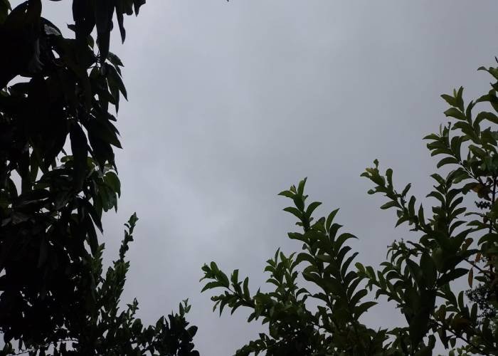 Alerta para vendaval e ventos costeiros no Nordeste