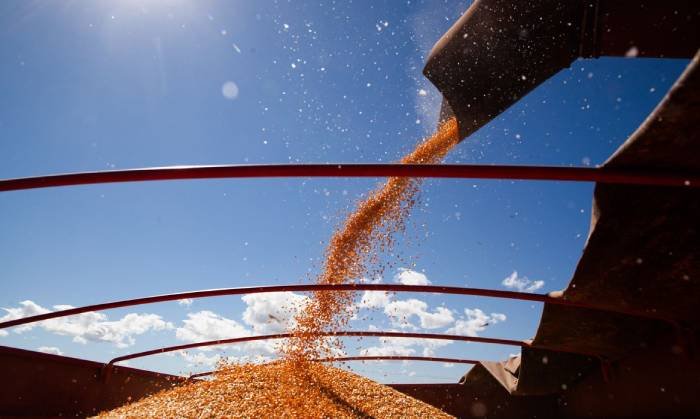 Produção de grãos em 298,41 milhões de toneladas