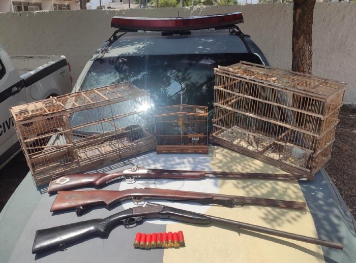 Apreensão de aves silvestres e três armas na Paraíba