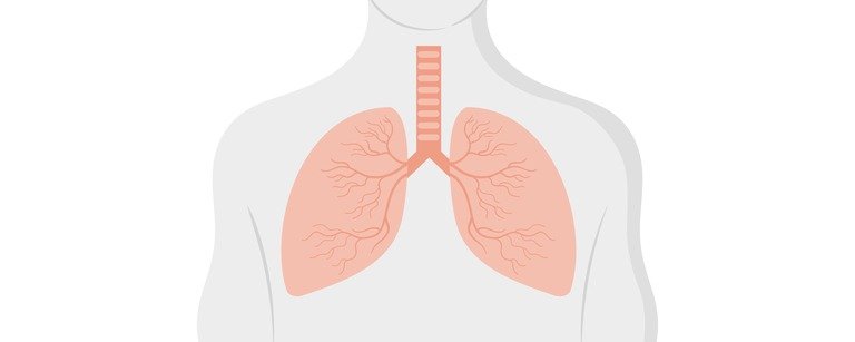 Doenças respiratórias 