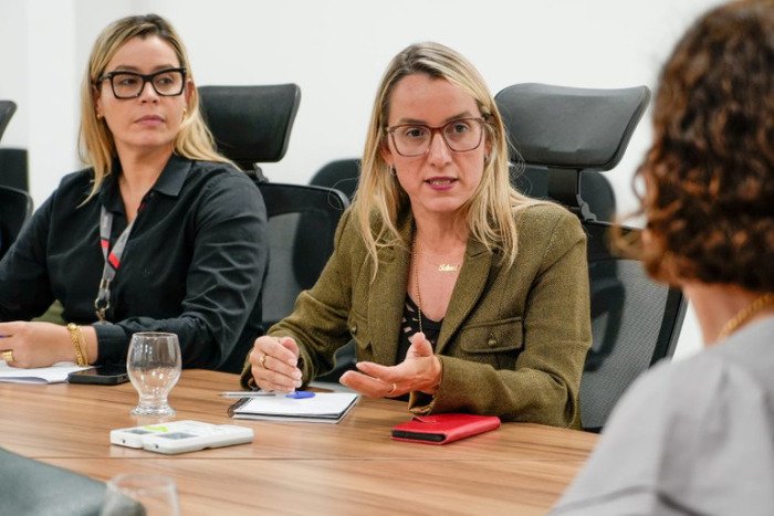 Reunião sobre assistência especializada online para saúde mental dos policiais