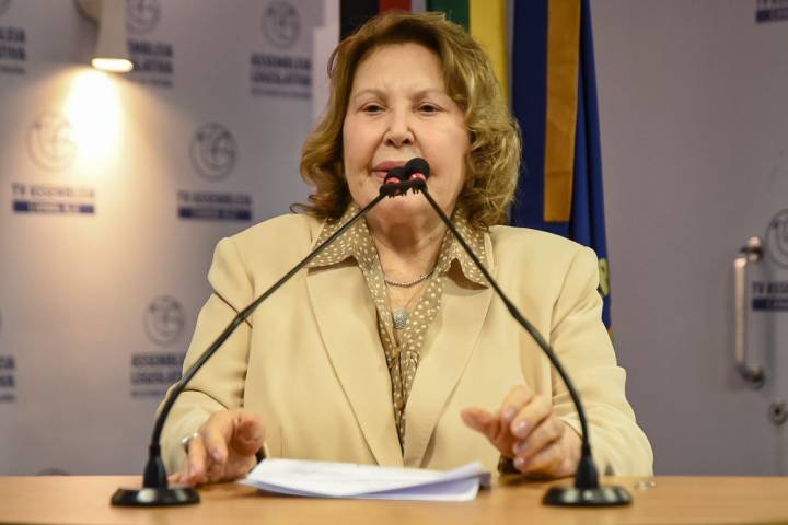 Deputada Estadual, Chica Motta