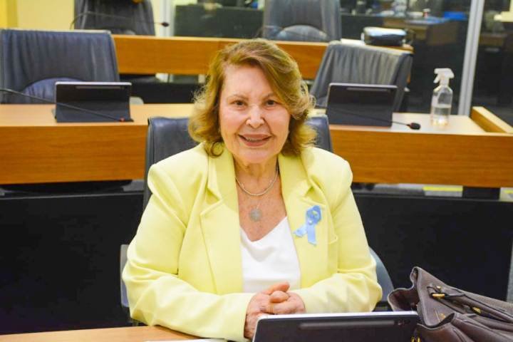 Deputada Estadual, Chica Motta