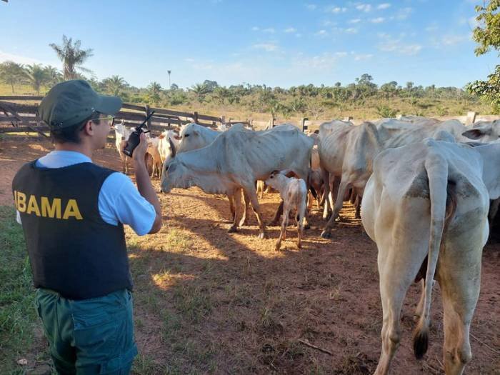 Operação contra falsidade ideológica e lavagem de capitais
