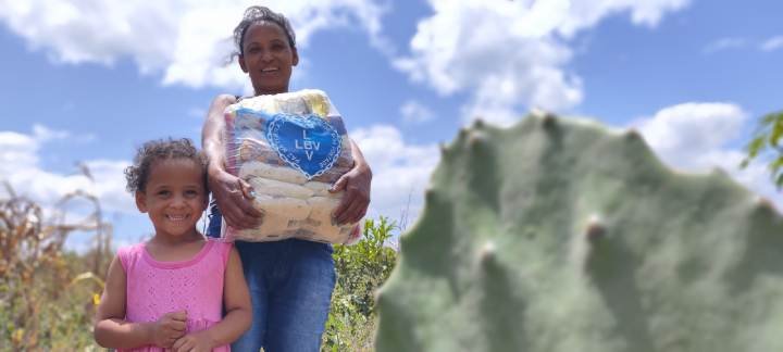 Legião da Boa Vontade