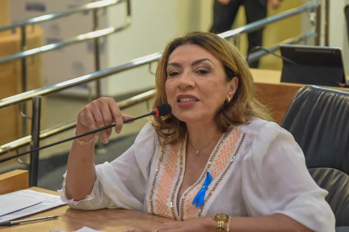 Deputada Estadual, Cida Ramos (PT)