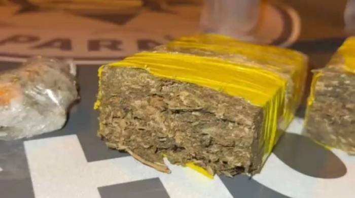 Maconha apreendida em ação da Polícia Militar