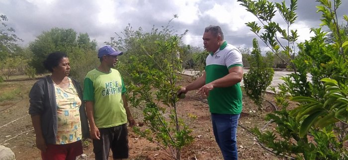 Produção de famílias do Assentamento Serra do Monte, em Cabaceiras