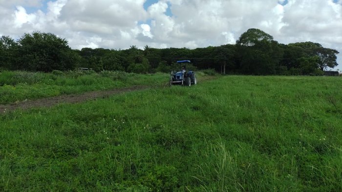 Preparo de solo para agricultores familiares