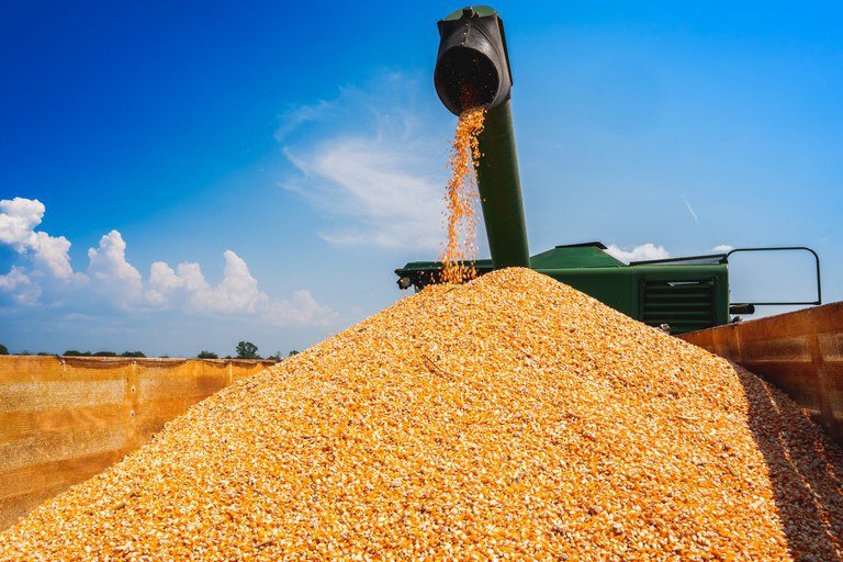 Grãos e produção no Brasil