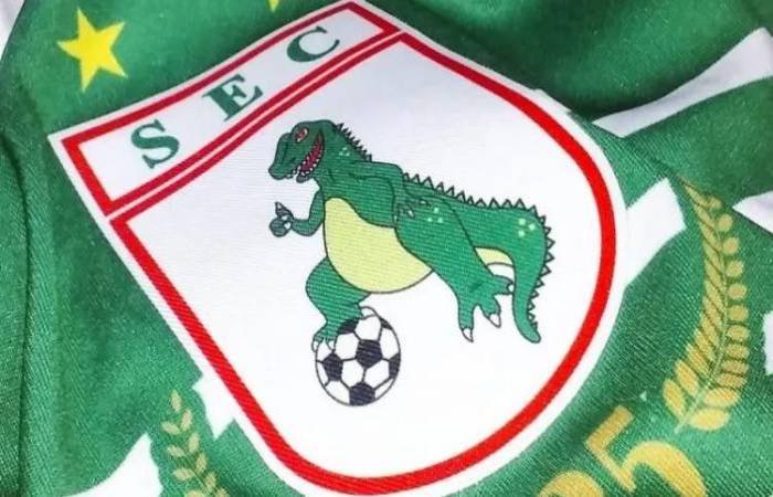 Sousa Esporte Clube