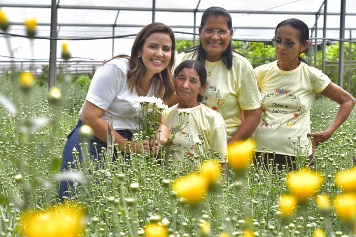 Produção e qualidade de vida de floricultores de Pilões 
