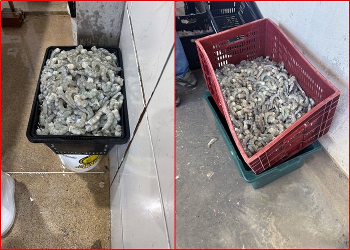 Agevisa interdita indústria de beneficiamento de pescados irregular, na Paraíba
