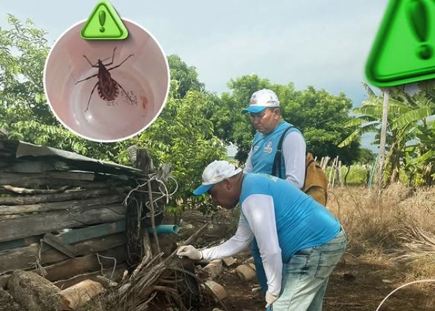Vigilância Sanitária realiza ações intensificadas contra o inseto barbeiro na zona rural de Aparecida  