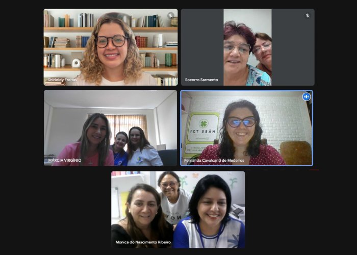 Reunião virtual com profissionais do Napem e do CER IV
