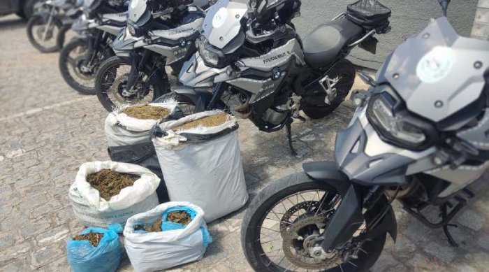Material ilícito apreendido em ação da Polícia Militar