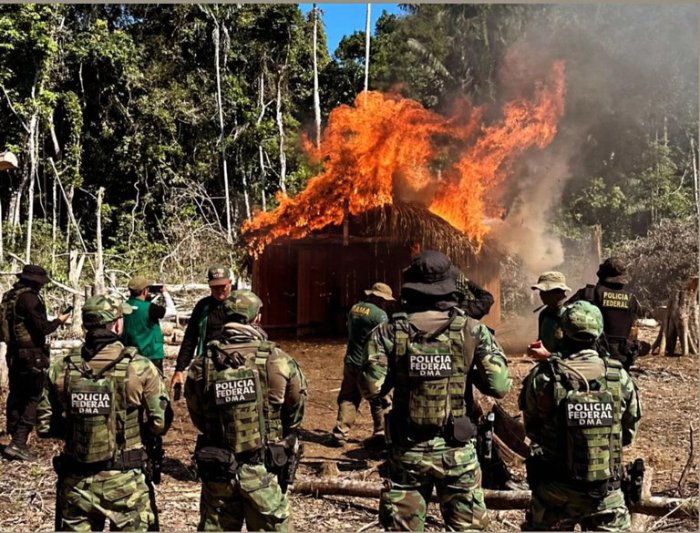 Combate ao desmatamento e incêndios florestais