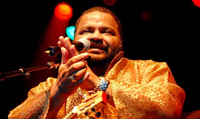Cantor, compositor e multi-instrumentista Arlindo Cruz