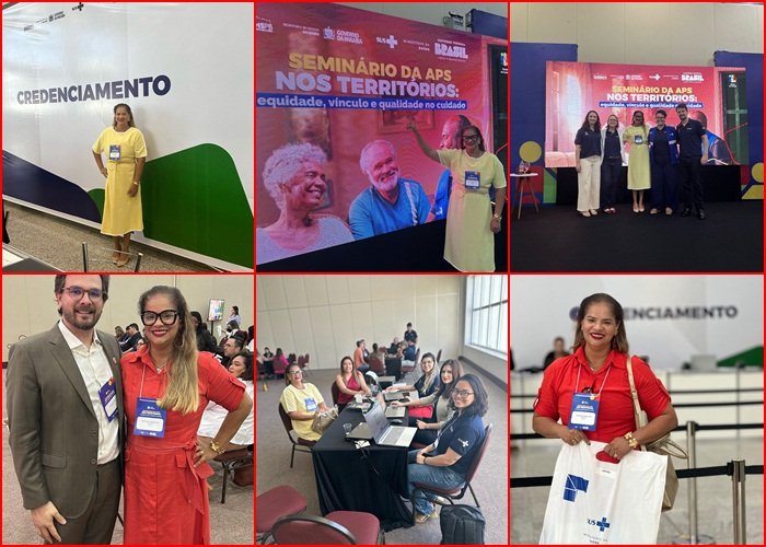 Seminário da Atenção Primária à Saúde (APS) nos Territórios
