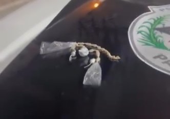 Droga apreendida em ação da Polícia Militar