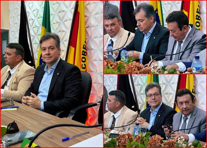Deputado estadual, Júnior Araújo
