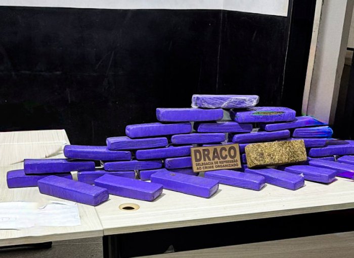 Drogas apreendidas em ação da Polícia Civil