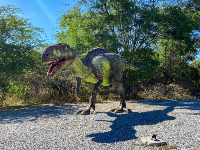 Vale dos Dinossauros, em Sousa
