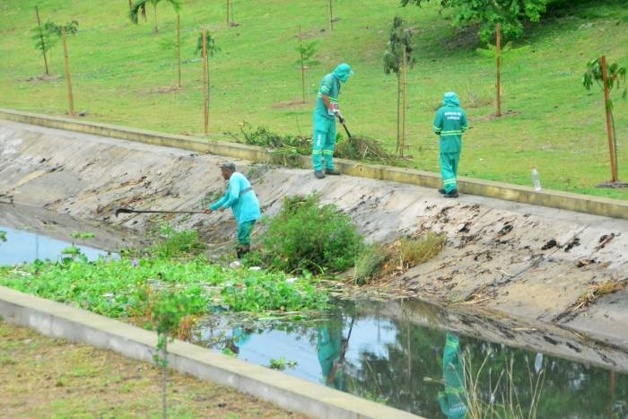 Prefeitura de João Pessoa planta mudas de árvores nativas em áreas públicas