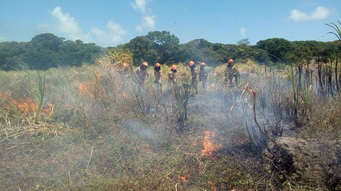 Bombeiros