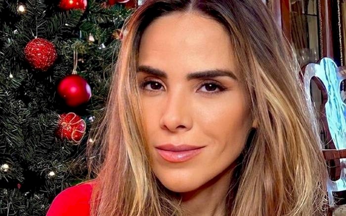 Cantora Wanessa Camargo