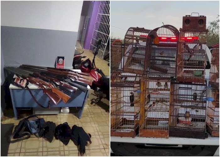 Apreensão de armas e aves no interior da Paraíba