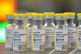 Febre Amarela