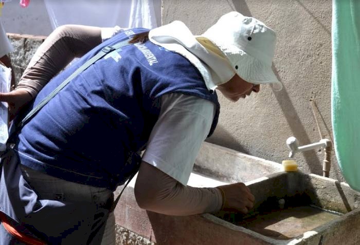 Dia D contra a dengue