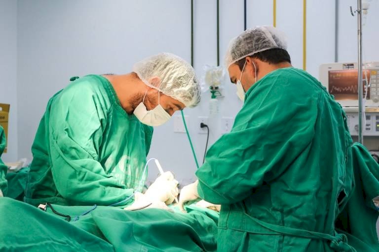 A ferramenta, lançada na última sexta-feira (1º), está disponível no site operaparaiba.pb.gov.br e também serve para consultar o status do procediment