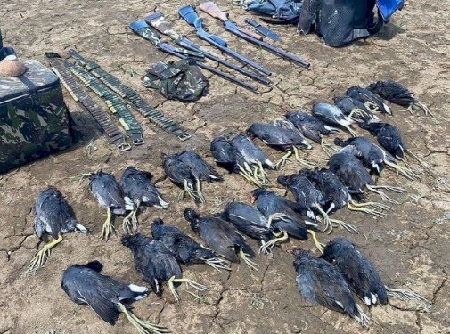 Polícia apreende quatro armas de fogo e vinte e seis animais abatidos, no Sertão paraibano 