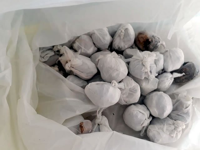 Polícia frustra possível arremesso de droga para o interior da Cadeia de Pombal