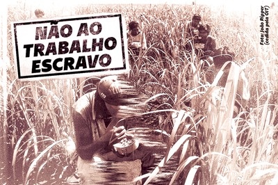 MPF defende condenação de fazendeiro por reduzir três trabalhadores à condição análoga à de escravo