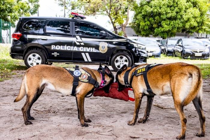 Ações policiais com cães, para a criação do Canil da instituição