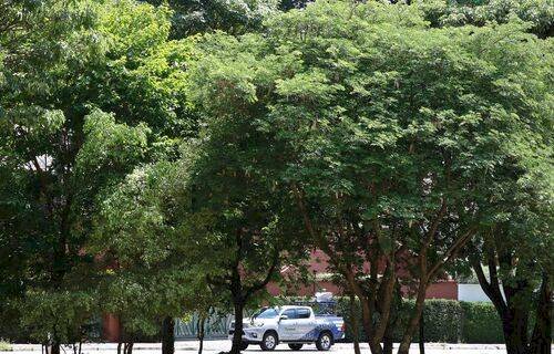 Nove cidades e um consórcio receberão capacitação e mentoria em desenvolvimento sustentável