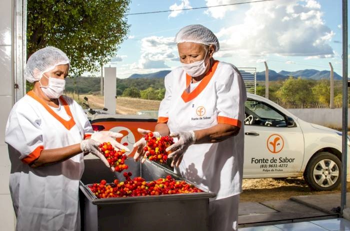 Estado investe na fruticultura de Pombal