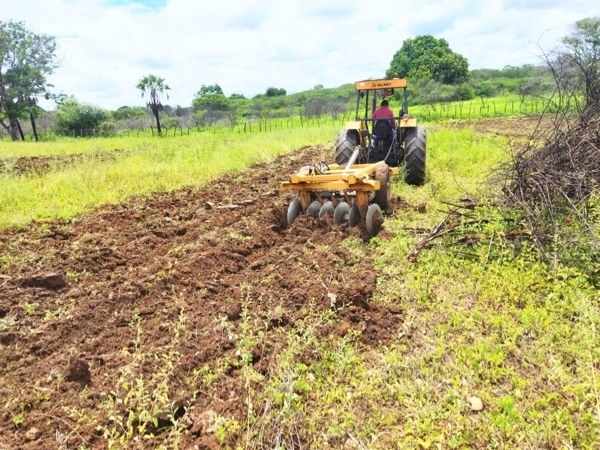 Trabalha na Agricultura