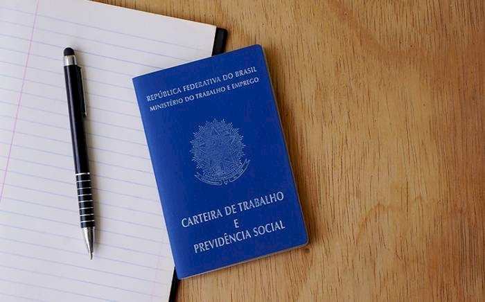 Dados do Cadastro Geral de Empregados e Desempregados (Novo Caged)
