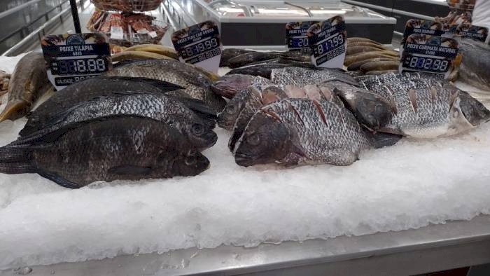 Pescado para a Semana Santa apresenta diferenças e variações nos preços