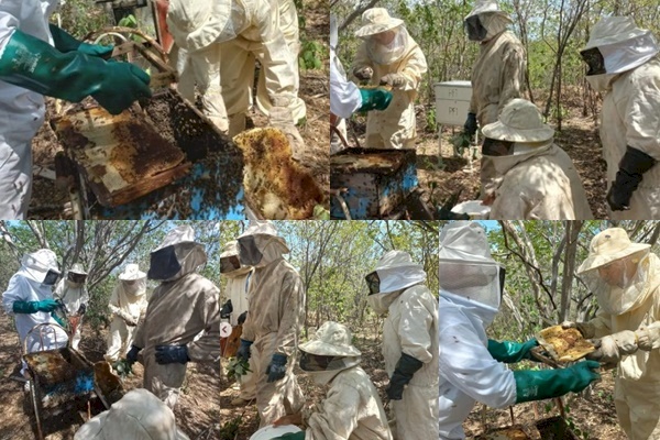 Alunos do curso de apicultor do Paraíba Tec