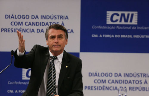 Divulgação