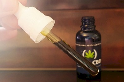 Óleo de cannabis sativa L
