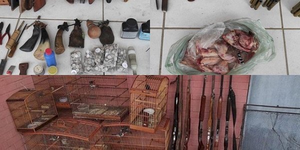 Polícia apreende sete armas de fogo, doze aves silvestres, apetrechos de caça, munições e animais abatidos