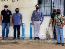 Animais