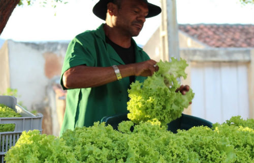 Agricultor 